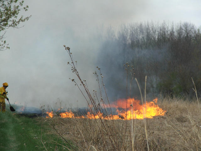 A Good Start To Burning the 40 Acre Field