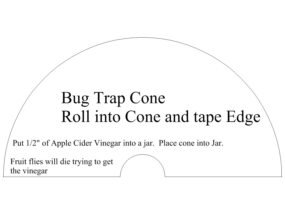 Bug trap cone