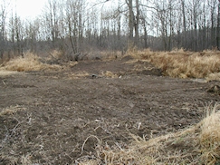 Beaver Dam Gone East Side 2