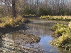 Pond after first backhoe operation